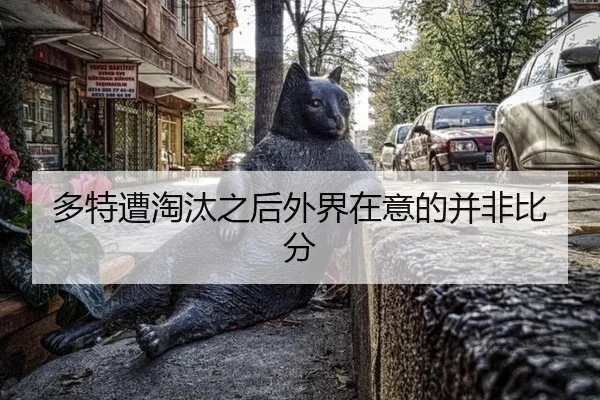 多特遭淘汰之后外界在意的并非比分 | bsport