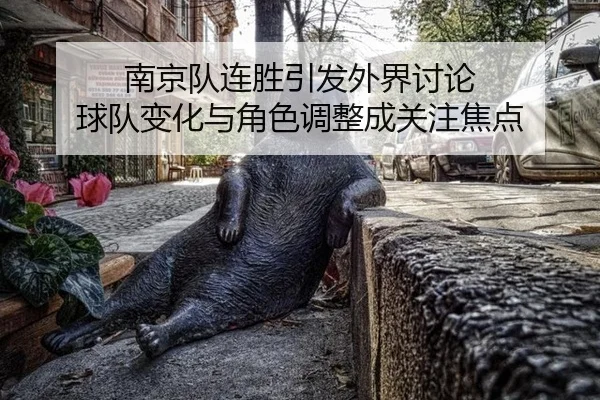 南京队连胜引发外界讨论 球队变化与角色调整成关注焦点 | bsport